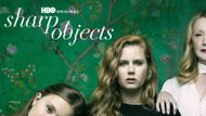 Sharp Objects (Image via HBO Max)